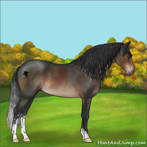 Horse Color:Brown Sabino