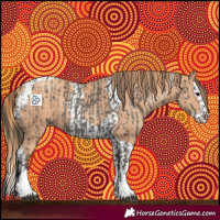 Horse Color:Smoky Grullo Tobiano  and Gold Champagne Splash Tobiano 