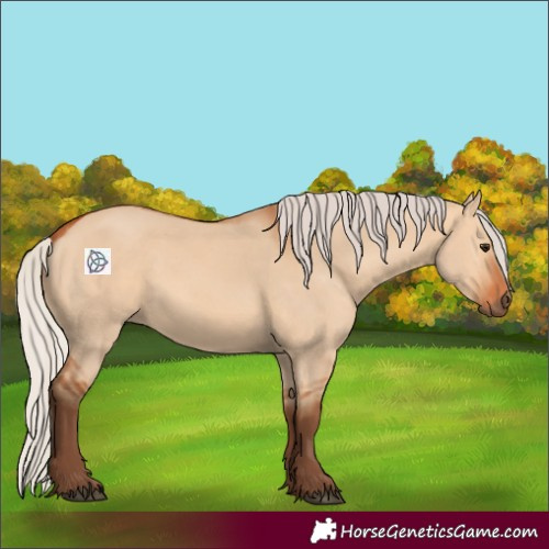 Horse Color:Silver Bay Dun 