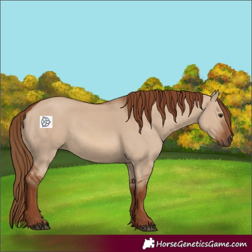Horse Color:Red Dun 