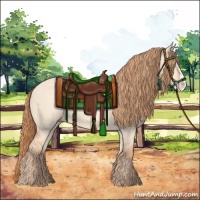 Horse Color:Gold Champagne Dun Splash 