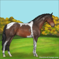 Horse Color:Brown Roan Tobiano 
