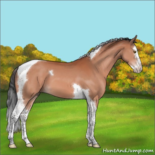 Horse Color:Brown Mushroom Splash Tobiano 