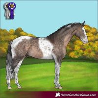 Horse Color:Brown Dun Mushroom Splash Tobiano 