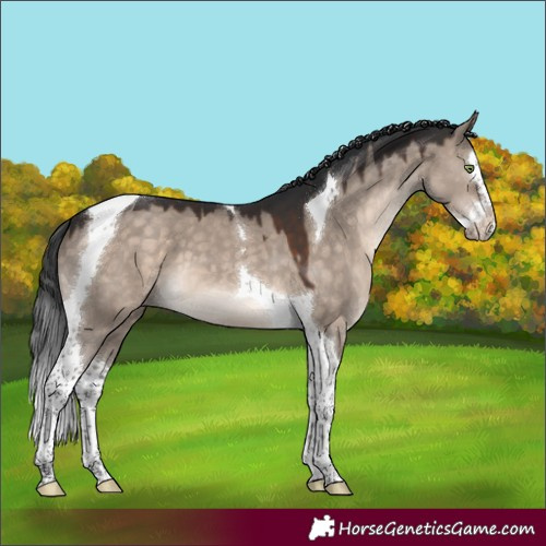 Horse Color:Brown Dun Mushroom Splash Tobiano 