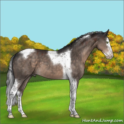 Horse Color:Brown Dun Mushroom Splash Tobiano 