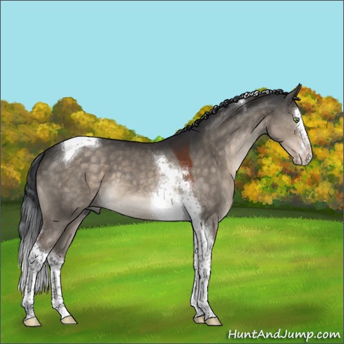 Horse Color:Brown Dun Mushroom Splash Tobiano 