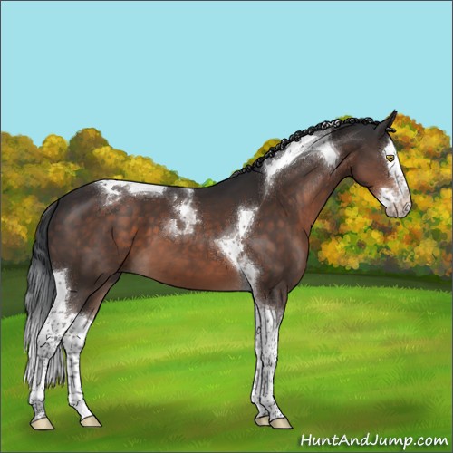 Horse Color:Brown Mushroom Splash Tobiano 