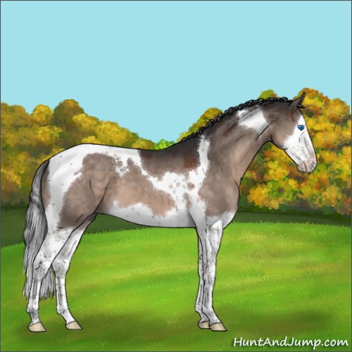 Horse Color:Brown Dun Mushroom Splash Tobiano 