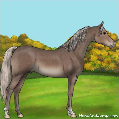 Horse Color:Silver Black 