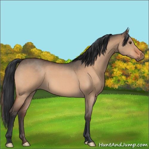 Horse Color:Brown Roan Dun 
