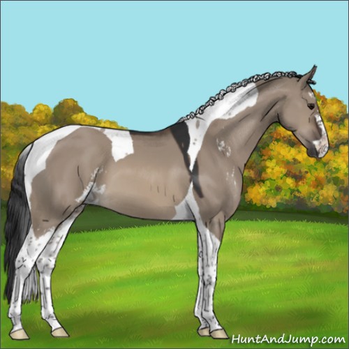 Horse Color:Brown Dun Sabino Tobiano 