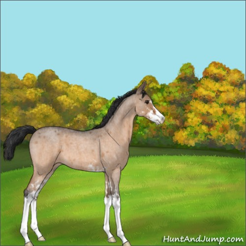 Horse Color:Brown Roan Dun Sabino 