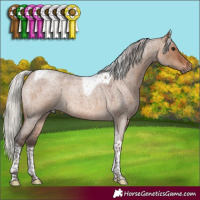 Horse Color:Silver Brown Roan Dun Tobiano