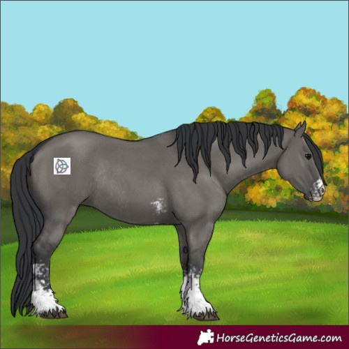 Horse Color:Grullo Sabino Rabicano