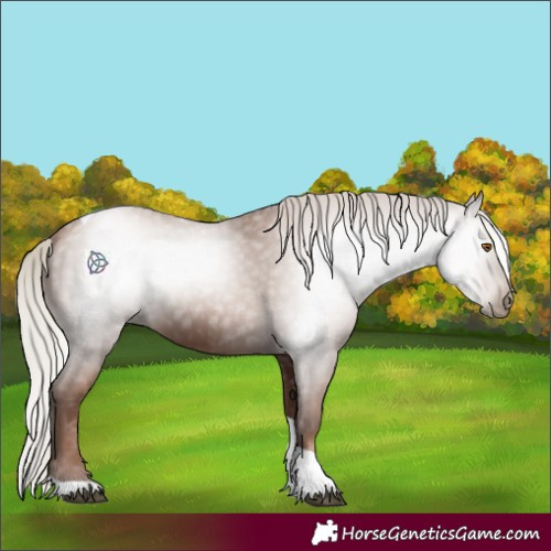 Horse Color:Gray Silver Black Pearl Tobiano 