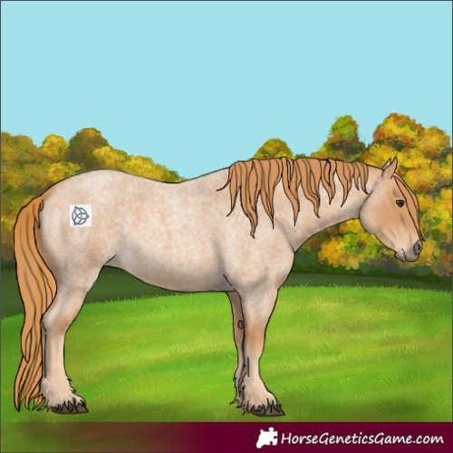 Horse Color:Red Roan