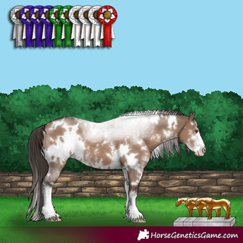 Horse Color:White Spotted Liver Red Dun Sabino 