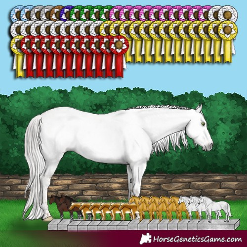 Horse Color:Gray White Spotted Silver Classic Champagne Dun Sabino Appaloosa Rabicano  and Sable Champagne Dun Sabino Rabicano 