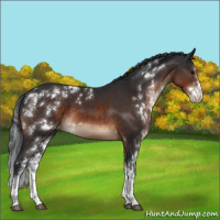 Horse Color:Brown Sabino