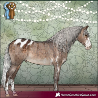 Horse Color:Silver Brown Dun Sabino Blanket Brindle 