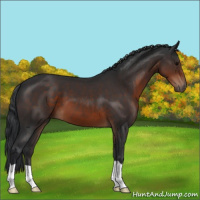 Horse Color:Brown 