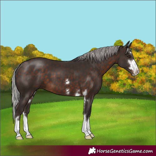 Horse Color:Silver Brown 