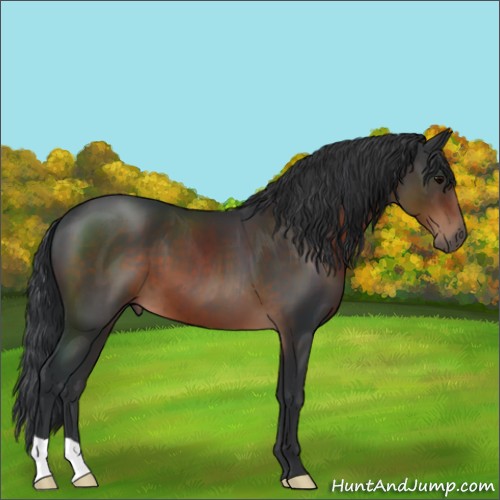 Horse Color:Brown 