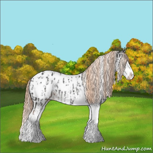 Horse Color:Liver Chestnut Sabino Splash Appaloosa and Liver Chestnut Sabino Splash Appaloosa