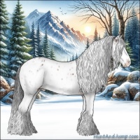 Horse Color:Brown Sabino Splash Appaloosa  and Brown Sabino Splash Appaloosa 