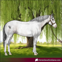 Horse Color:Brown Sabino 