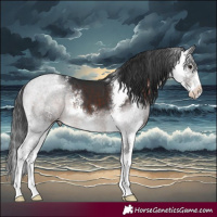 Horse Color:Brown Sabino