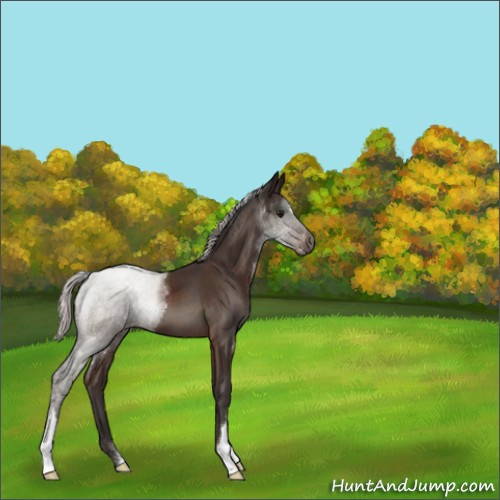 Horse Color:Silver Brown 