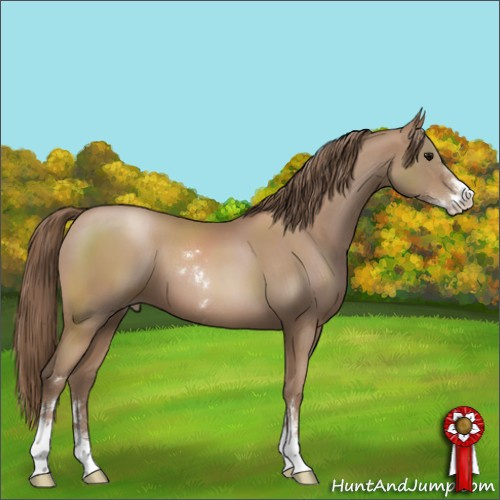 Horse Color:Black Pearl Sabino