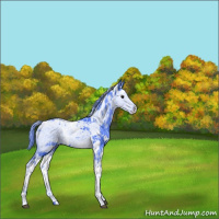 Horse Color:Watercolor Smoky Black Sabino 
