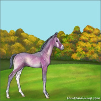 Horse Color:Watercolor Brown Onyx