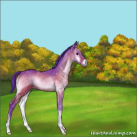 Horse Color:Watercolor Brown Onyx 
