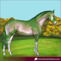 Horse Color:Watercolor Brown Onyx 