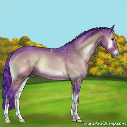 Horse Color:Watercolor Brown Onyx 