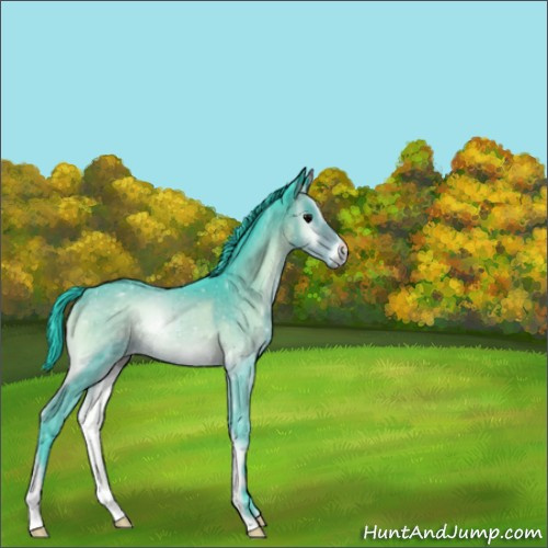 Horse Color:Watercolor Brown Onyx 