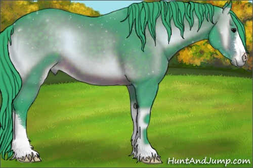 Horse Color:Watercolor Brown Onyx 