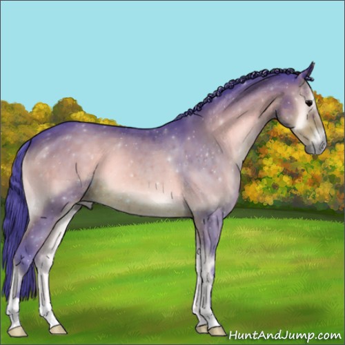 Horse Color:Watercolor Brown Onyx 