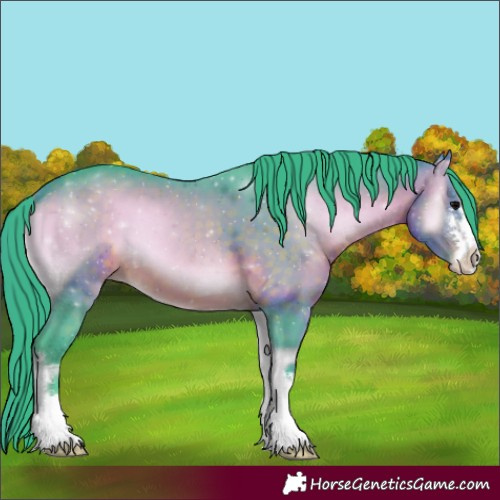 Horse Color:Watercolor Brown Onyx 