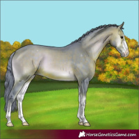 Horse Color:Watercolor Brown Onyx 