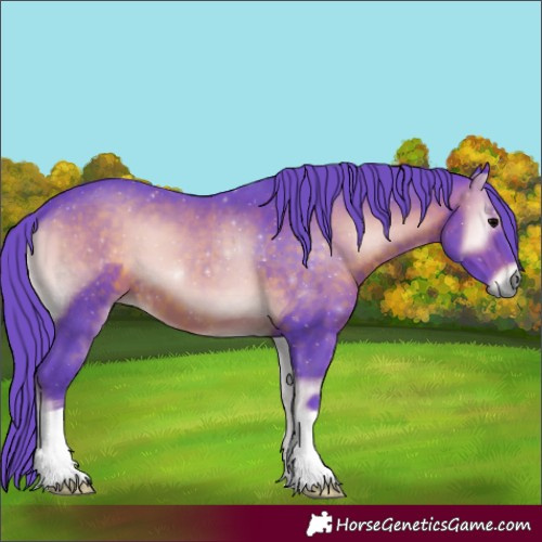 Horse Color:Watercolor Brown Onyx 