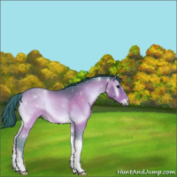 Horse Color:Watercolor Bay Onyx