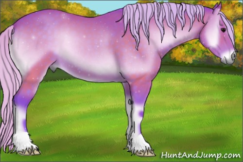 Horse Color:Watercolor Silver Brown Onyx 