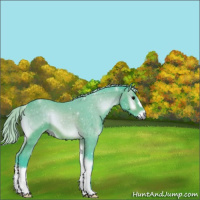 Horse Color:Watercolor Silver Brown Onyx 