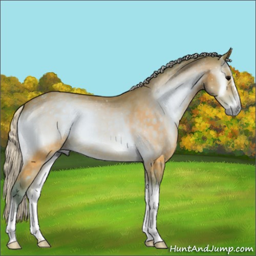 Horse Color:Watercolor Silver Brown Onyx 