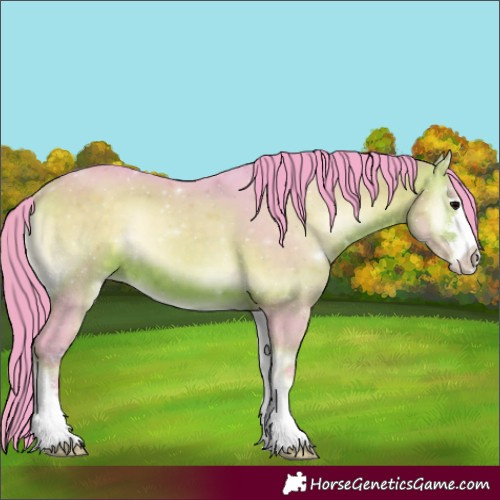 Horse Color:Watercolor Bay Onyx 